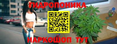 сатива Конаково