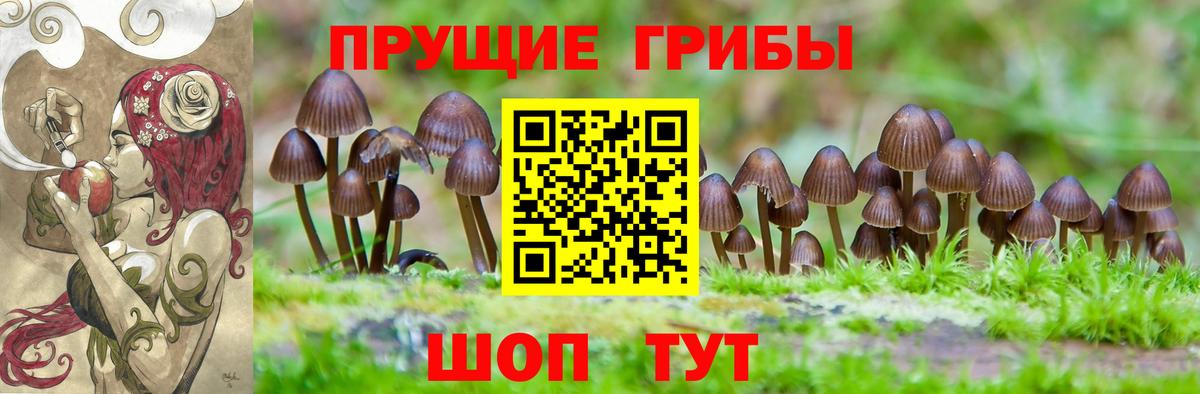 Псилоцибиновые грибы прущие грибы  купить наркотик  Коряжма  Вход с VPN 
